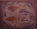 1978, Pesci I